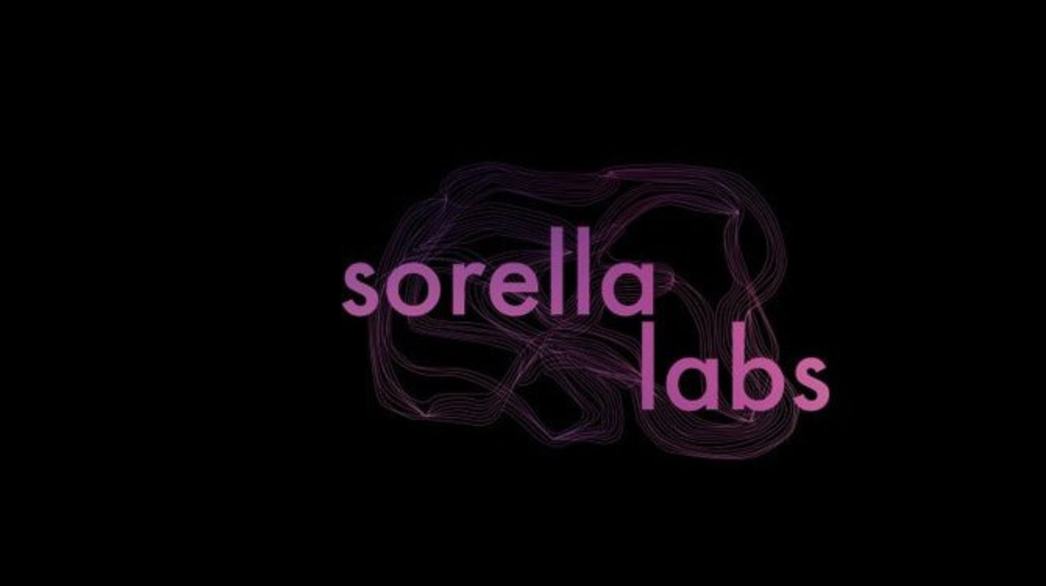 Paradigm leads $7.5M Seed Round for Sorella Labs to tackle Ethereum’s MEV Challenges